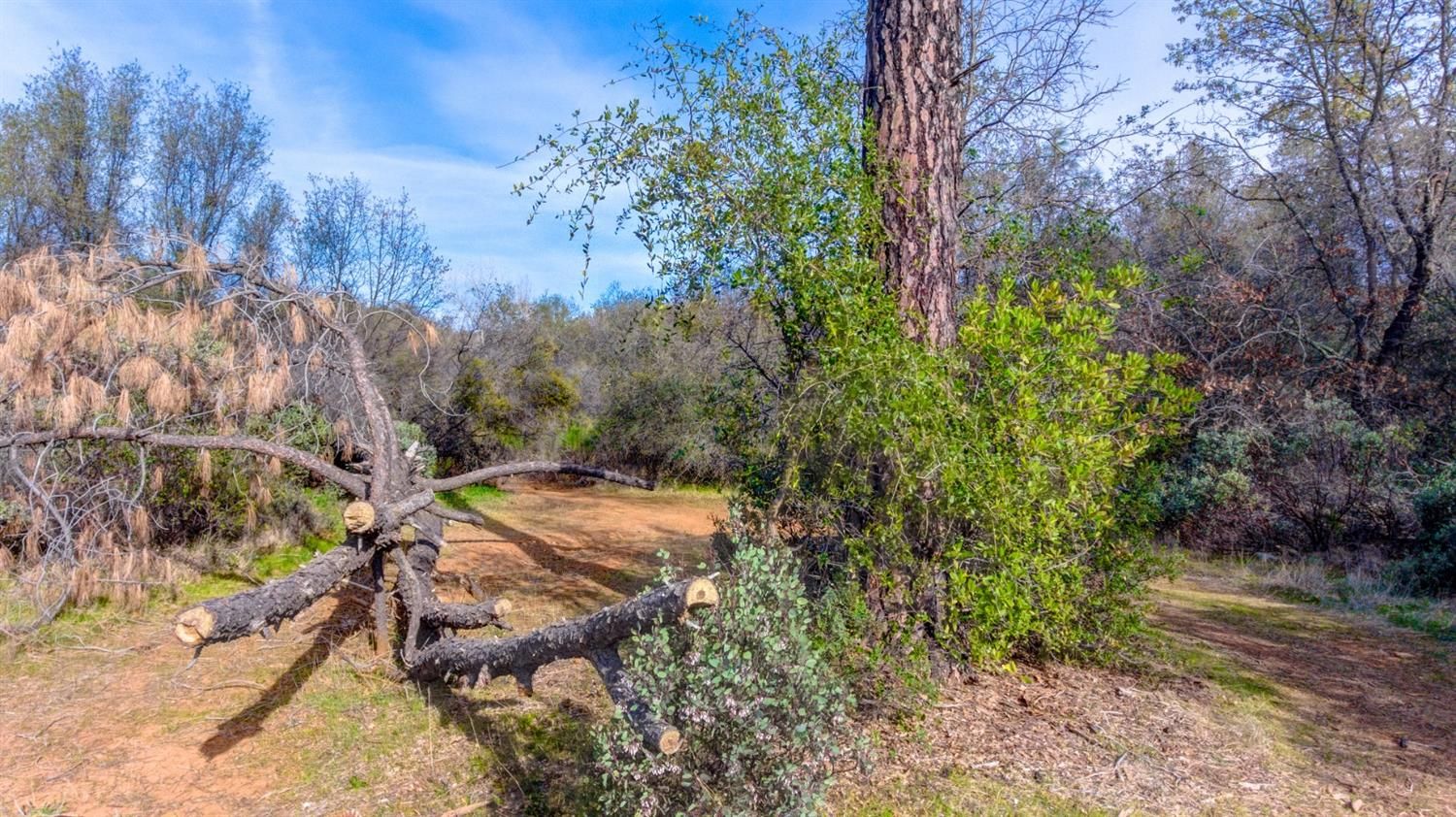 15 Coach Lane, Shingle Springs, CA 95682